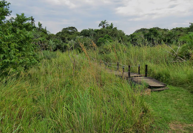 Mpenjati Nature Reserve