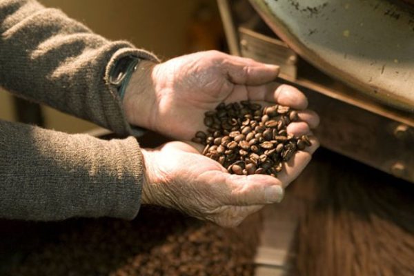Beaver Creek Coffee Estate