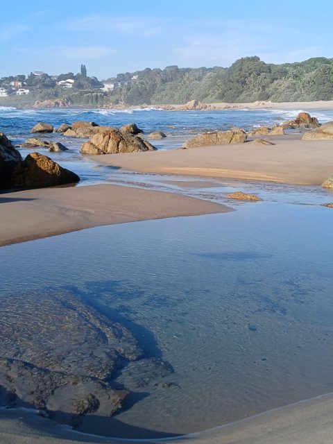 Clear tide pool, boulders and forested coast from Doreen Hill