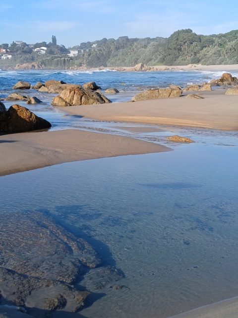 Tide pool and sandy beach at Drakes Bay with forested coast beyond