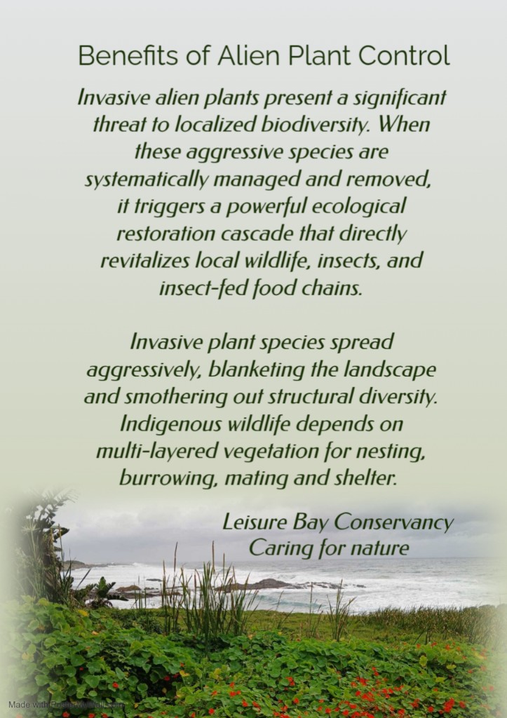 Leisure Bay Conservancy poster: Benefits of Alien Plant Control