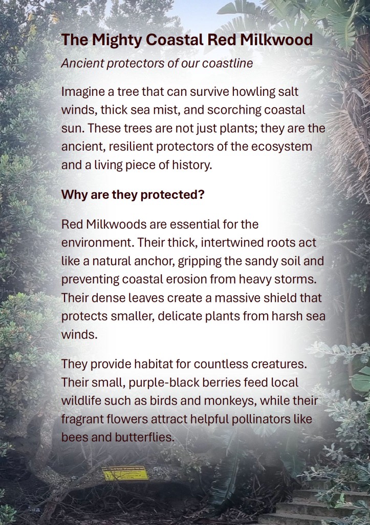 Leisure Bay Conservancy poster: The Mighty Coastal Red Milkwood