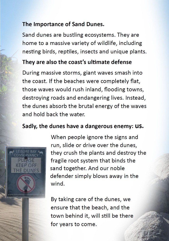 Leisure Bay Conservancy poster: The Importance of Sand Dunes
