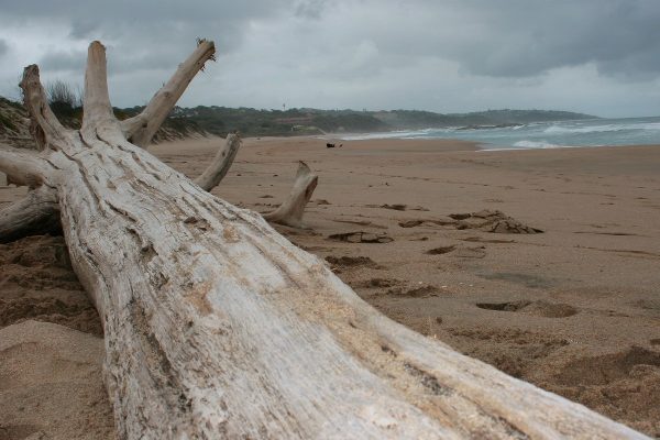 Mpenjati Nature Reserve