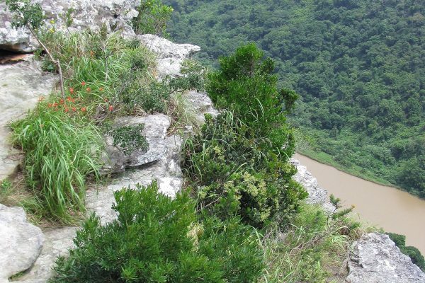 Umtamvuna Nature Reserve
